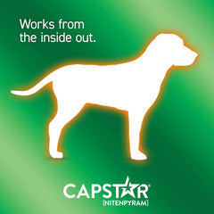 Capstar Flea Treatment Tablets for Dogs over 11kg Kills Fleas Fast 6 Tablets