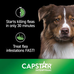 Capstar Flea Treatment Tablets for Dogs over 11kg Kills Fleas Fast 6 Tablets