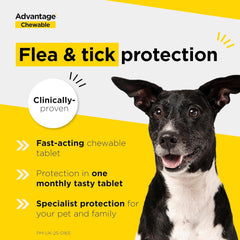 Advantage Chewable Flea and Tick Protection for Dogs