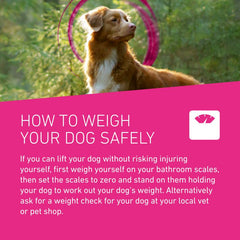 Frontline Tri-Act Spot On Flea and Tick Treatment For Small Medium and Large Dogs 3 Pipettes