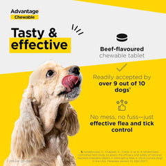 Advantage Chewable Flea and Tick Protection for Dogs