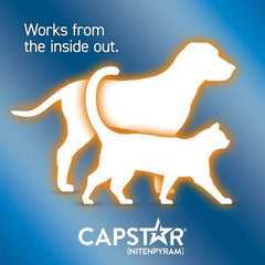 Capstar Flea Treatment Tablets for Dogs over 11kg Kills Fleas Fast 6 Tablets