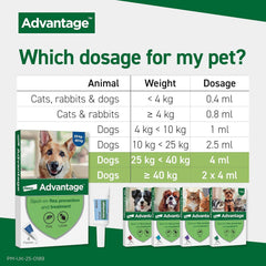 Advantage Spot On Flea Treatment for Cats, Dogs and Rabbits, 4 Pipettes