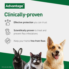 Advantage Spot On Flea Treatment for Cats, Dogs and Rabbits, 4 Pipettes