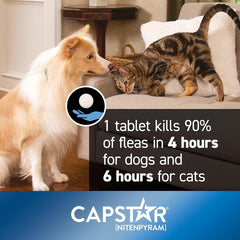 Capstar Flea Treatment Tablets for Dogs over 11kg Kills Fleas Fast 6 Tablets
