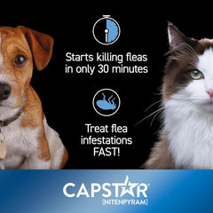 Capstar Flea Treatment Tablets for Dogs over 11kg Kills Fleas Fast 6 Tablets