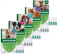 Advantage Spot On Flea Treatment for Cats, Dogs and Rabbits, 4 Pipettes