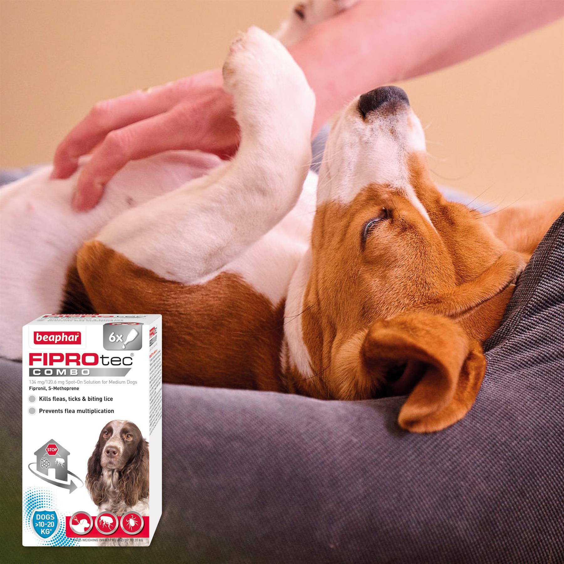 Beaphar FIPROtec COMBO Dog/Cat Flea and Tick Treatment Spot On Solution Effectiv
