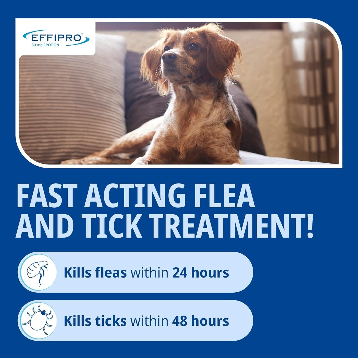 Effipro Spot On Flea Treatment AVM-GSL For Pets Cats & Dogs 4 Pipettes With Fipronil