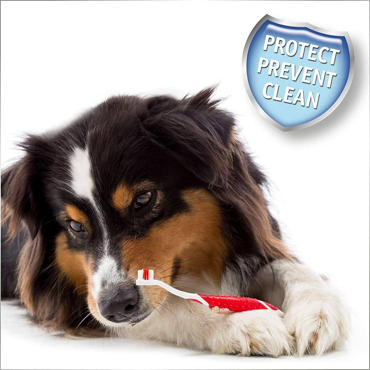 Beaphar Toothpaste Toothbrush Pet Dental Care Kits For Dogs & Cats UK