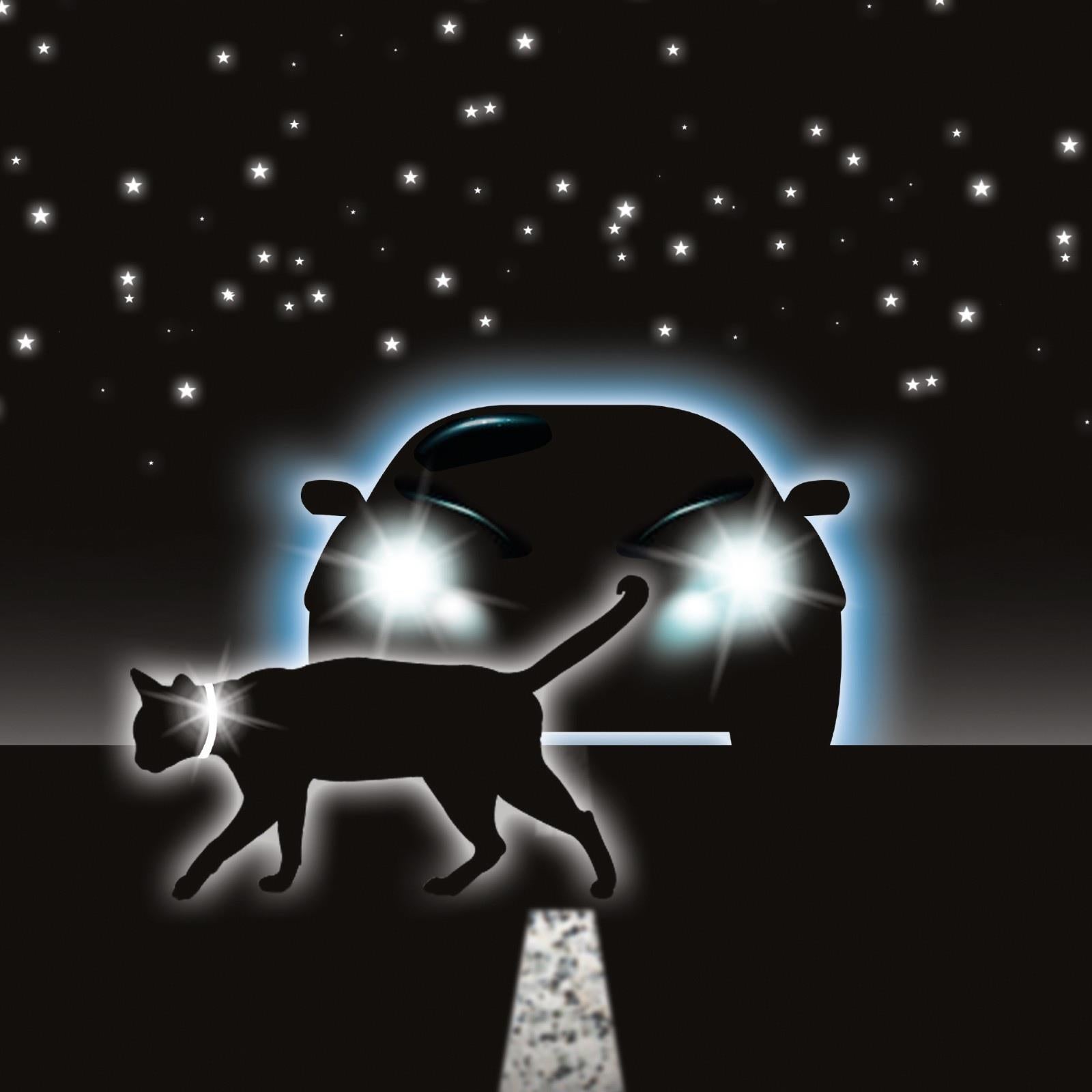 Beaphar Cat Flea Collar Red, Blue & Black FOR FLEAS TREATMENT UK STOCK FREE POST