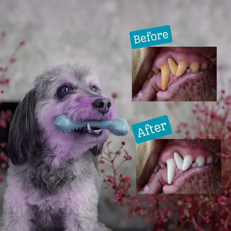 Extreme Dog Toy Classic Robust Tough &Natural Rubber Toys For Aggressive Chewers