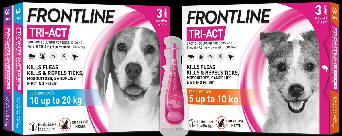 Frontline Tri-Act Spot On Flea and Tick Treatment For Small Medium and Large Dogs 3 Pipettes