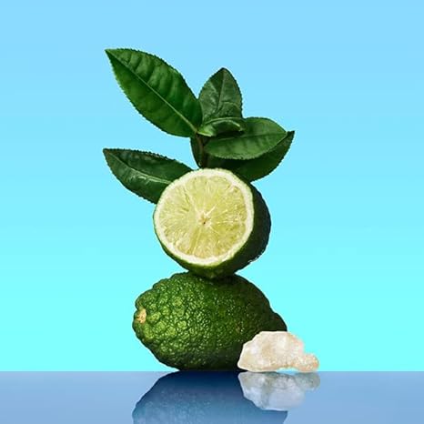 CALVIN KLEIN CK One, Unisex Eau de Toilette for All, Citrus & Aromatic Fragrance with Notes of Green Tea, Nutmeg and Musk 200ml