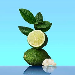 CALVIN KLEIN CK One, Unisex Eau de Toilette for All, Citrus & Aromatic Fragrance with Notes of Green Tea, Nutmeg and Musk 200ml