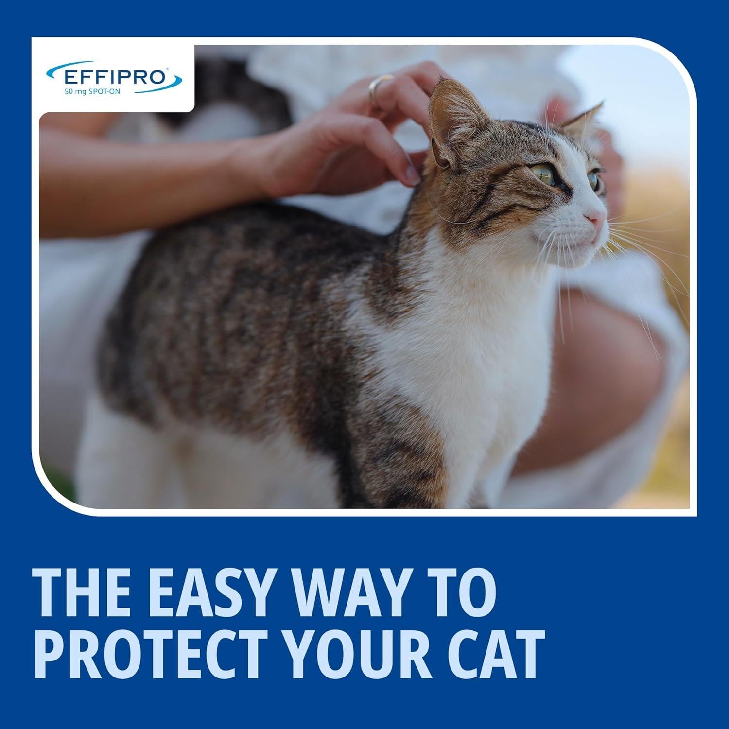 Effipro Spot On Flea Treatment AVM-GSL For Pets Cats & Dogs 4 Pipettes With Fipronil