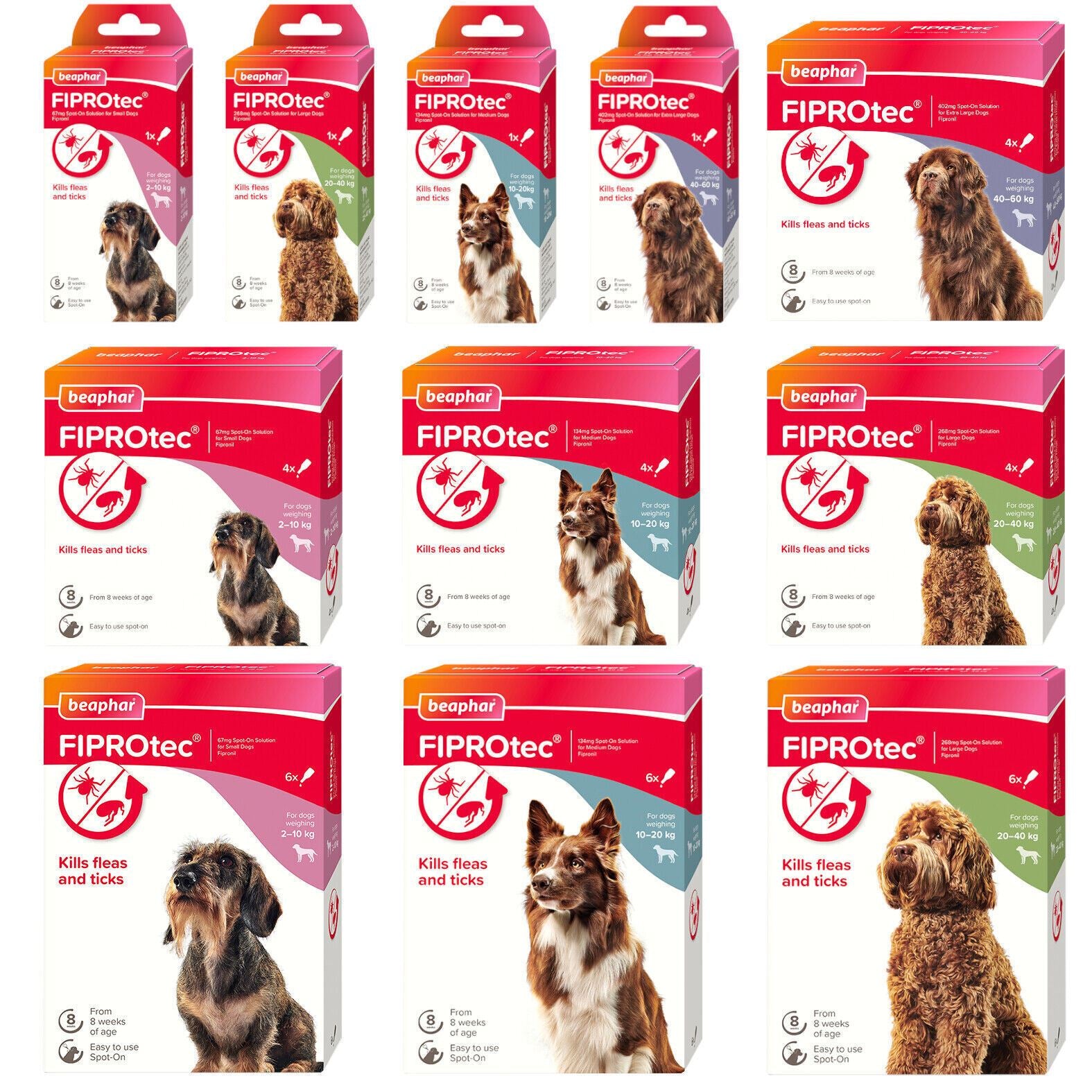 BEAPHAR Spot On Flea Tick Treatment CAT & DOG S M L XL - 1 4 6 Pipettes FIPROTEC