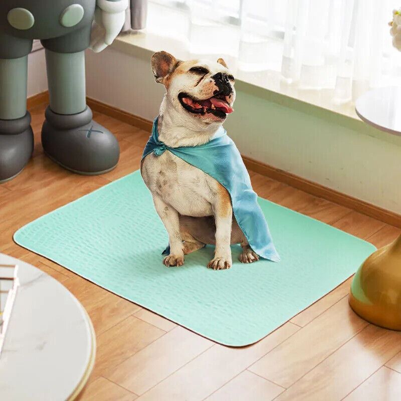 LARGE Puppy Training Trainer Pads Toilet Pee Wee Poo Dog Pet Cat Mats Anti Slip.
