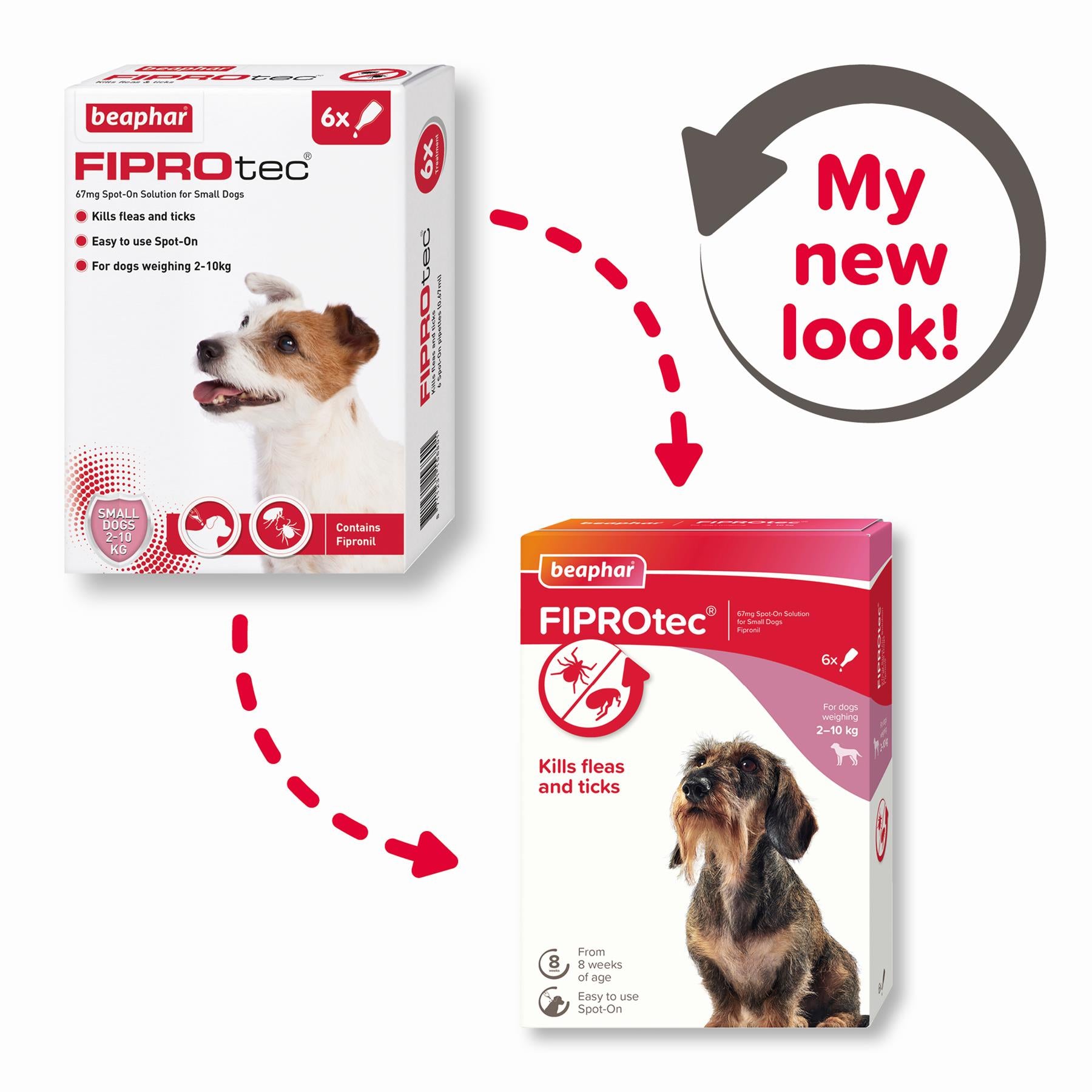 BEAPHAR Spot On Flea Tick Treatment CAT & DOG S M L XL - 1 4 6 Pipettes FIPROTEC