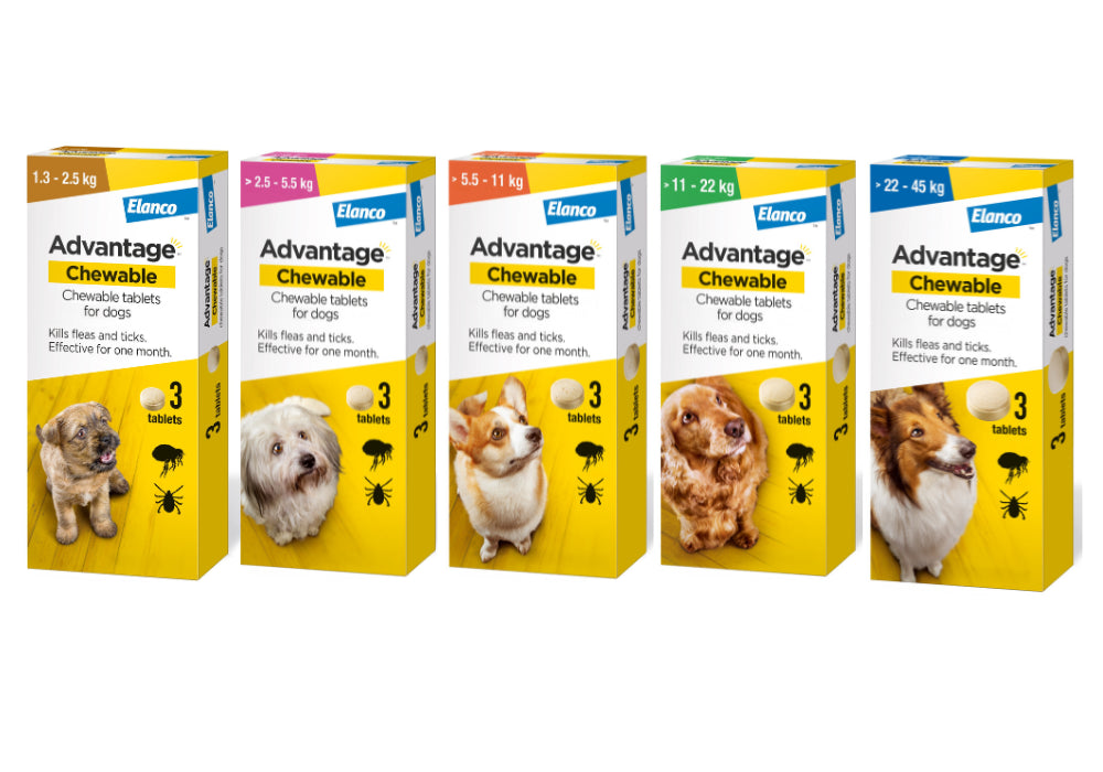 Advantage Chewable Flea and Tick Protection for Dogs
