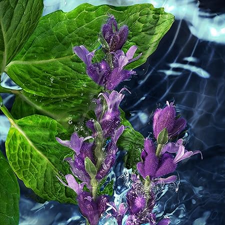 Davidoff Cool Water Man Aftershave Splash, 125 ml