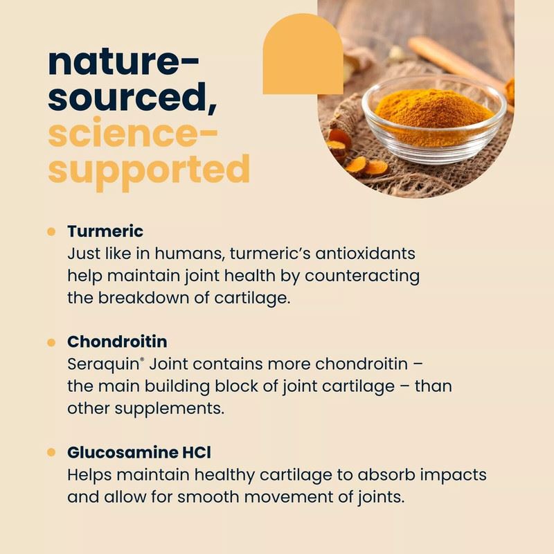 Seraquin Veterinary Joint Supplement with Turmeric for Cats & Dogs 60 Tablets UK