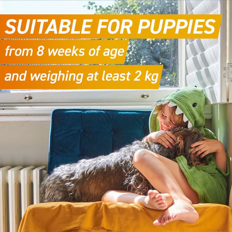 FRONTPRO Flea and Tick Chewable Tablets for Dogs Fast-Acting For S M L XL Dogs