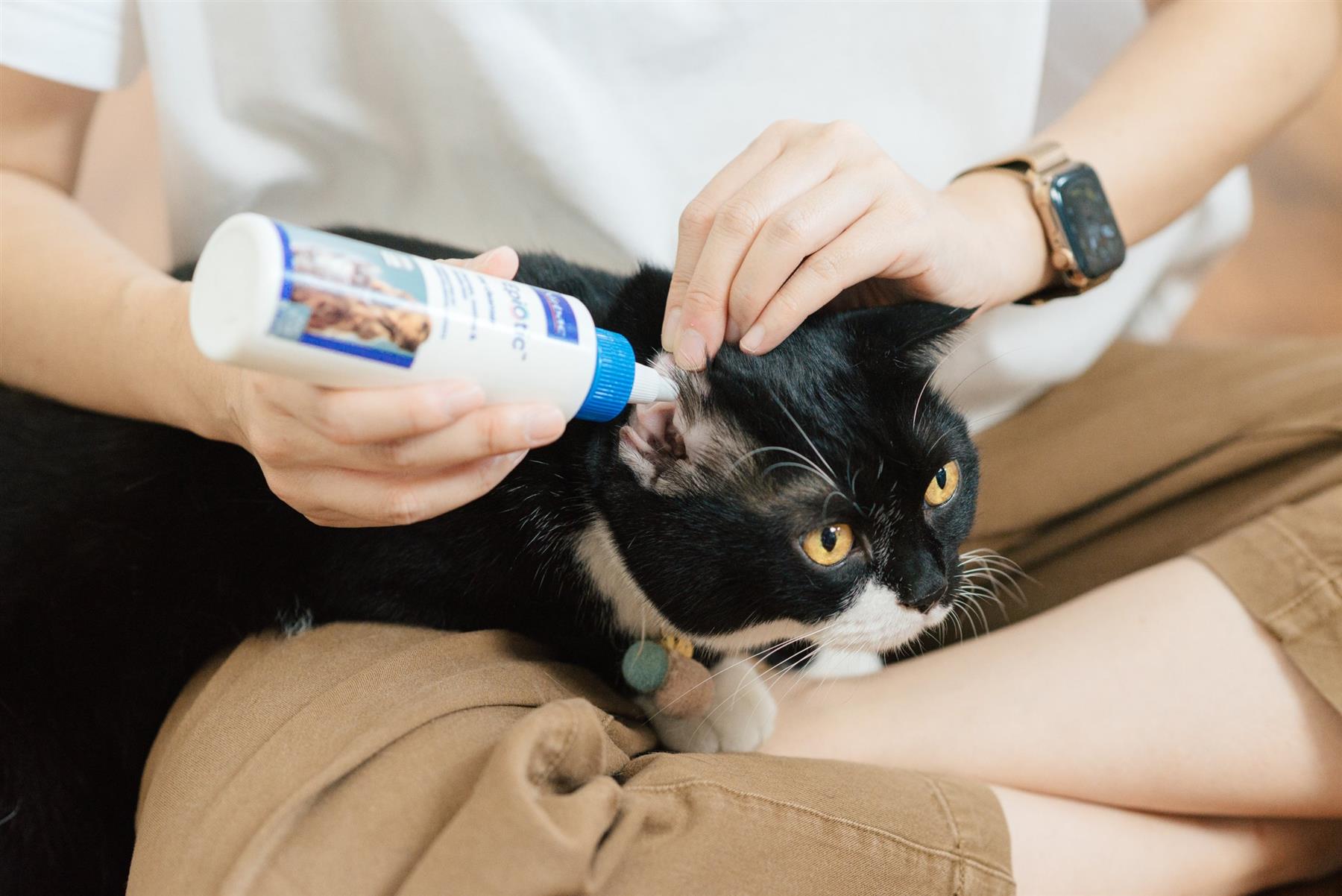 EpiOtic Ear Cleaner for Cats & Dogs | 60ml & 125ml Bottle| Antibacterial & Antifungal