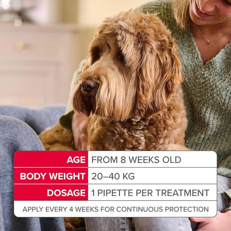 Beaphar FIPROtec COMBO Dog/Cat Flea and Tick Treatment Spot On Solution Effectiv