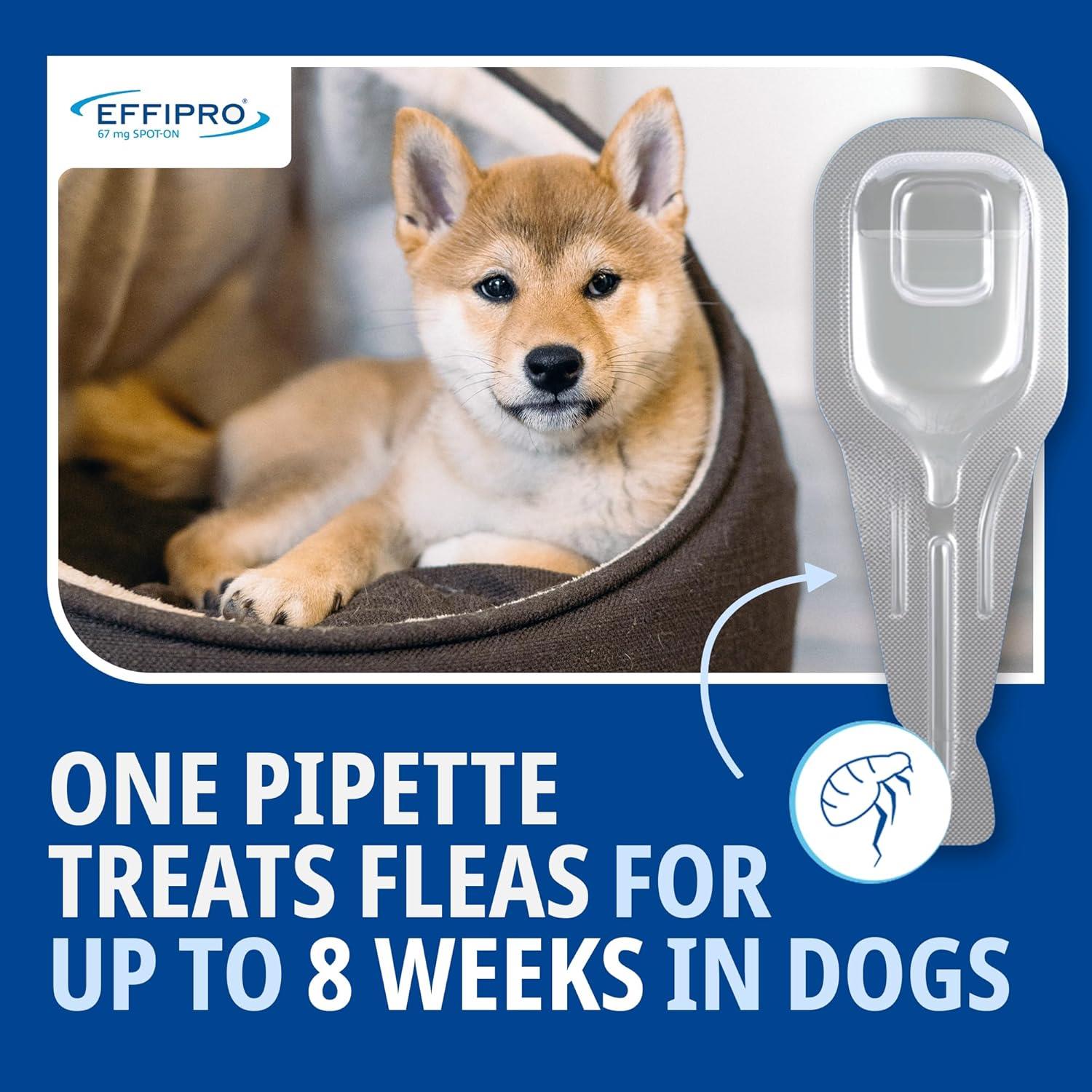 Effipro Spot On Flea Treatment AVM-GSL For Pets Cats & Dogs 4 Pipettes With Fipronil