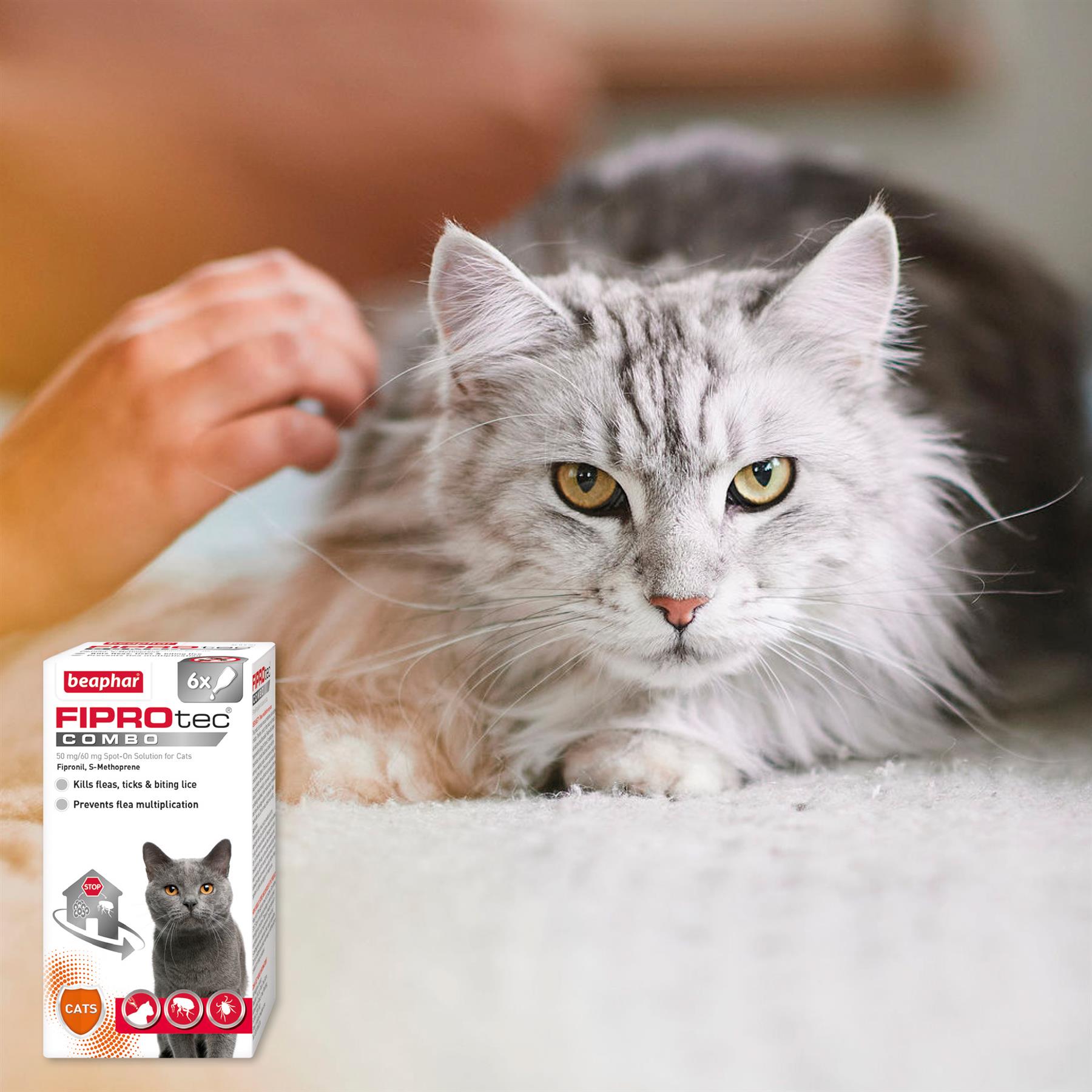 Beaphar FIPROtec COMBO Dog/Cat Flea and Tick Treatment Spot On Solution Effectiv