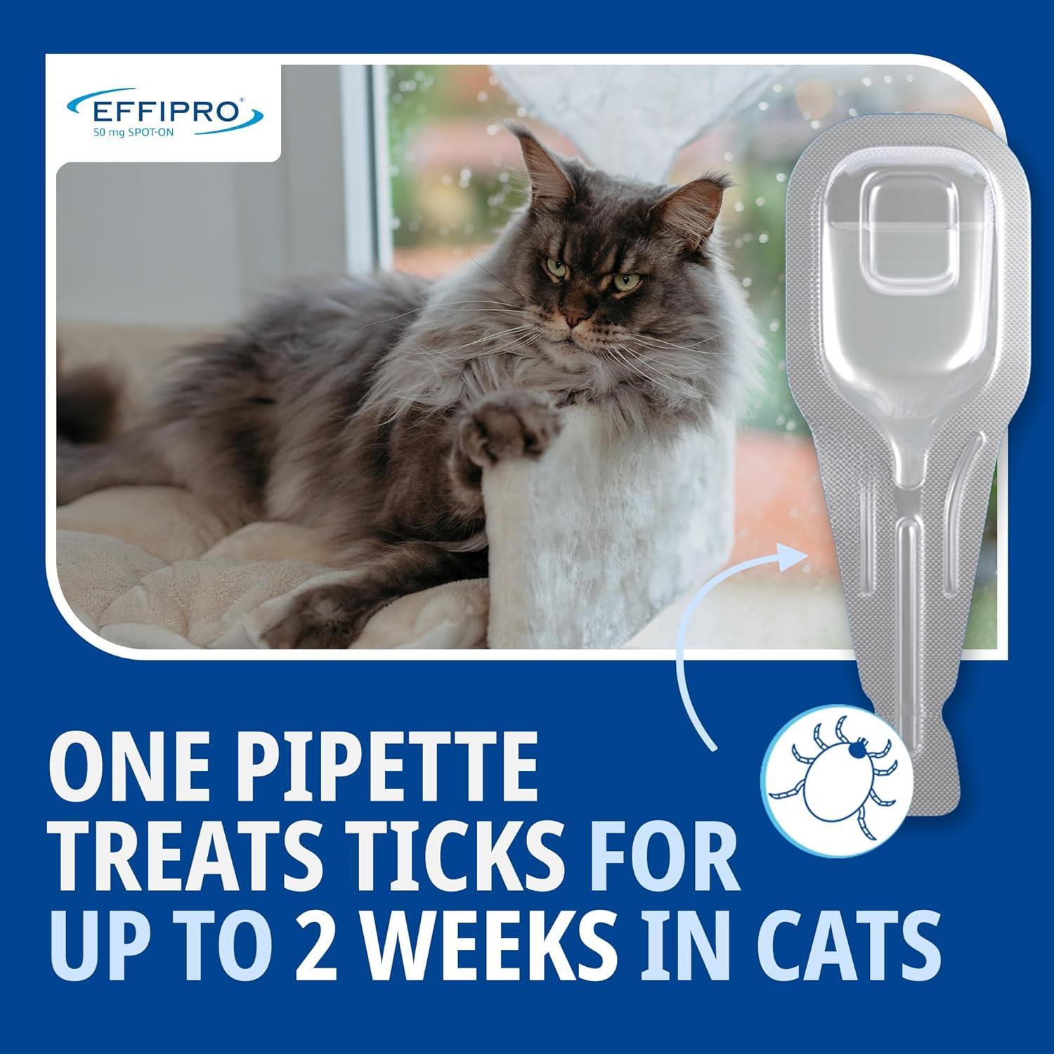 Effipro Spot On Flea Treatment AVM-GSL For Pets Cats & Dogs 4 Pipettes With Fipronil