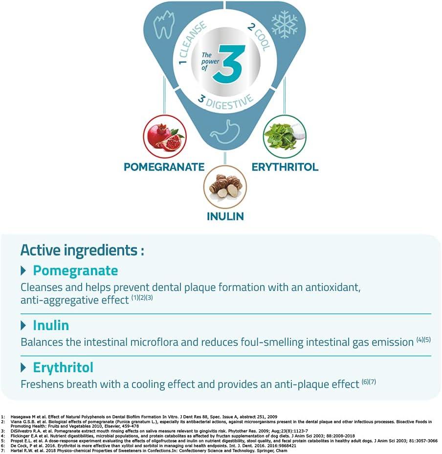 Virbac Vet Aquadent Anti-Plaque Solution for Cat and Dog, Pet Dental Care Solution