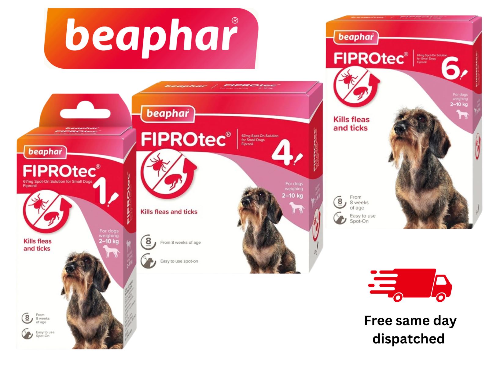 BEAPHAR Spot On Flea Tick Treatment CAT & DOG S M L XL - 1 4 6 Pipettes FIPROTEC