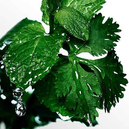 Davidoff Cool Water Man Aftershave Splash, 125 ml