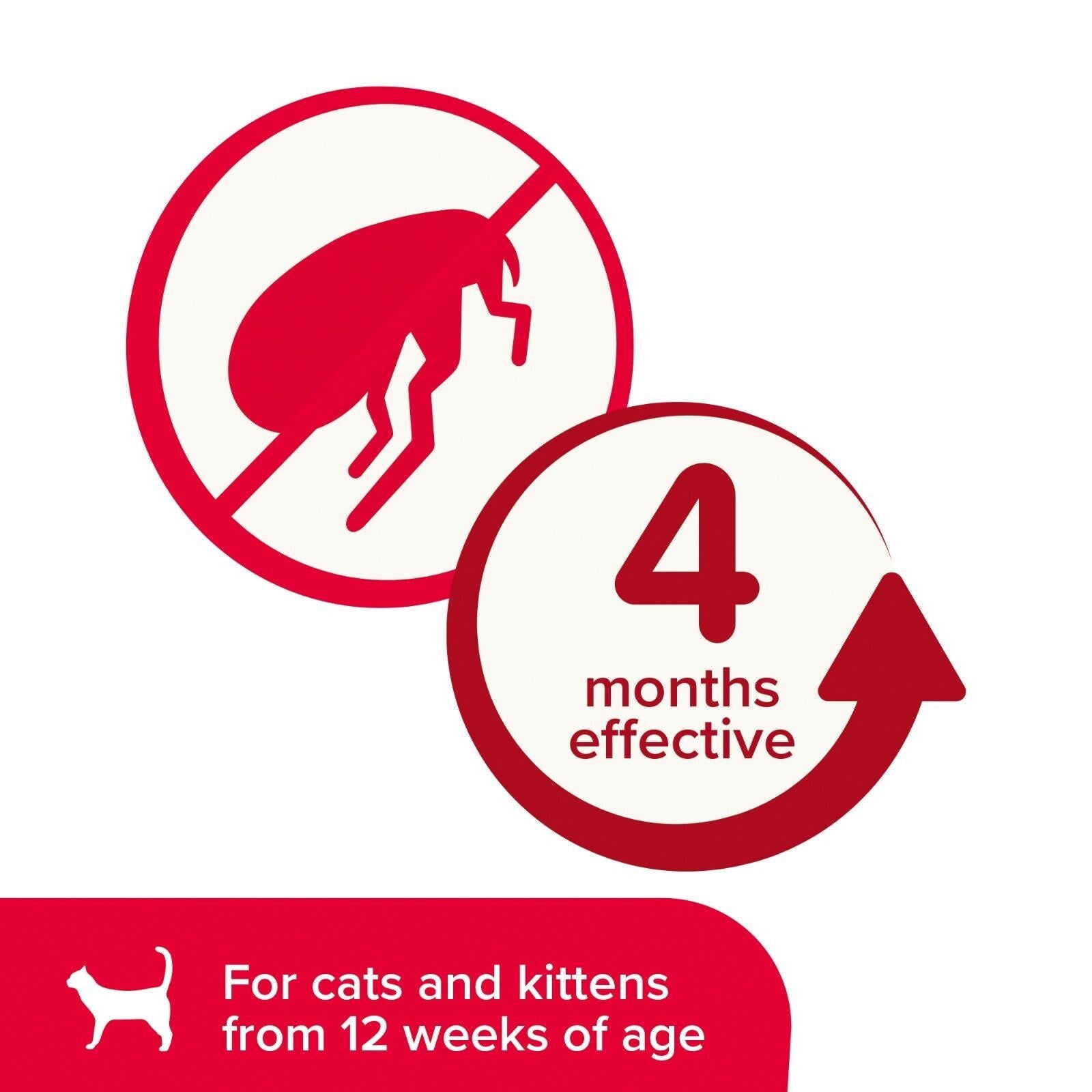 Beaphar Cat Flea Collar Red, Blue & Black FOR FLEAS TREATMENT UK STOCK FREE POST