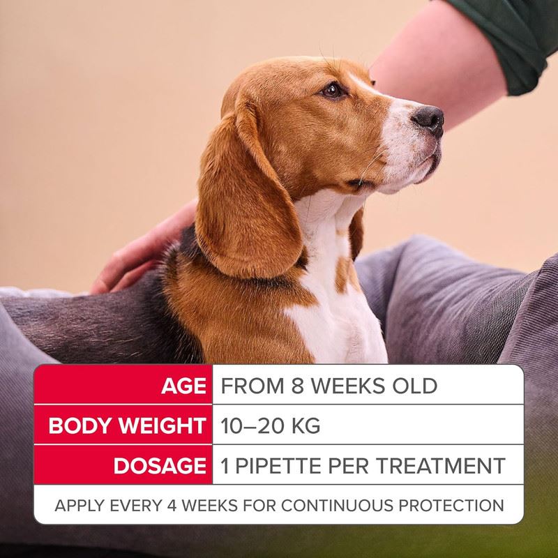 Beaphar FIPROtec COMBO Dog/Cat Flea and Tick Treatment Spot On Solution Effectiv