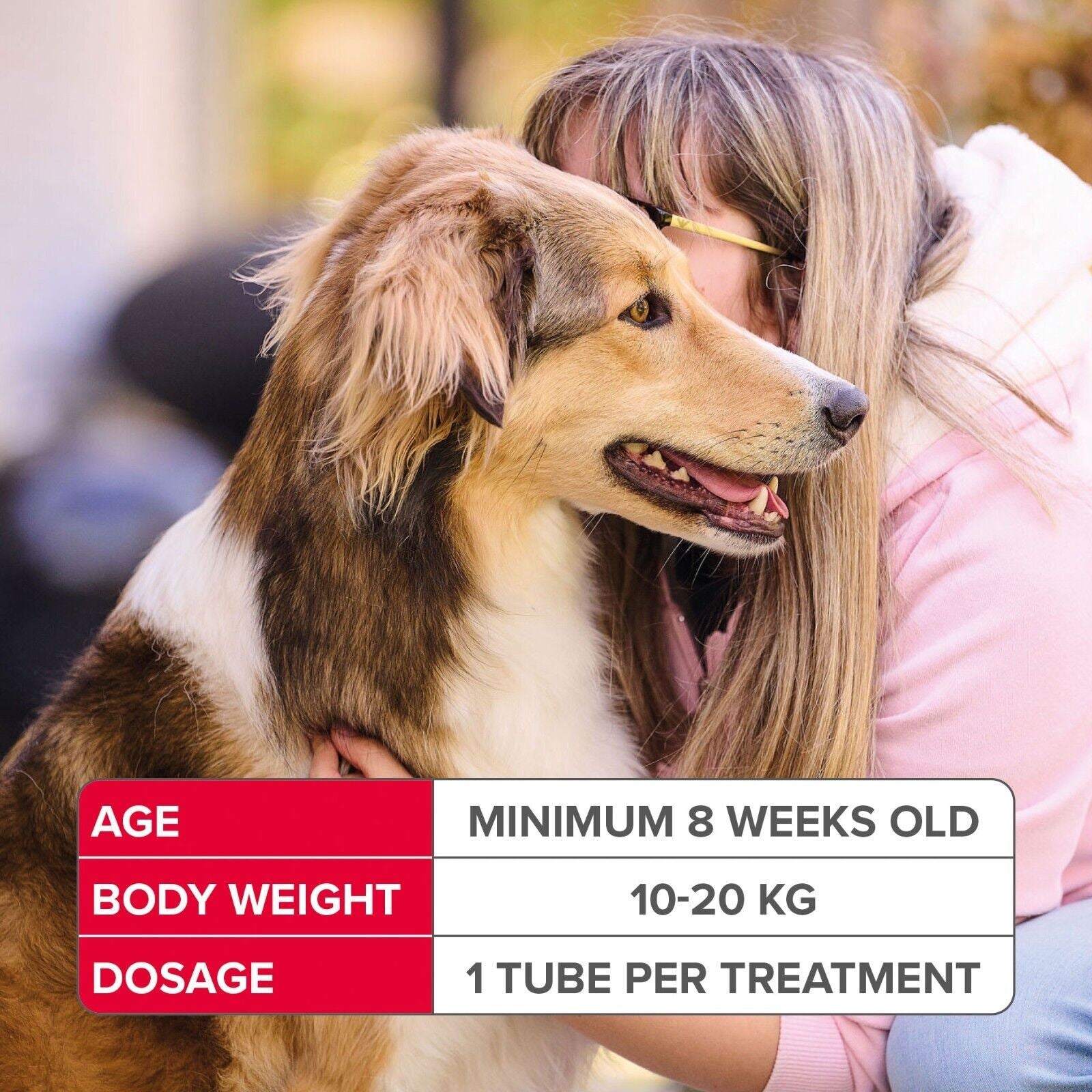 BEAPHAR Spot On Flea Tick Treatment CAT & DOG S M L XL - 1 4 6 Pipettes FIPROTEC