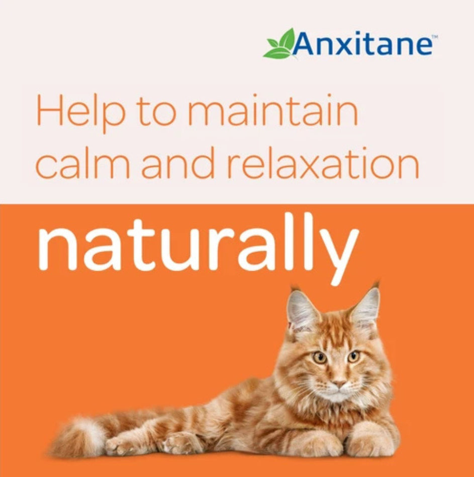 Anxitane Dog Calming Anxiety Stress Relief 30 Chewable Tablets For Dogs, Cats | Behaviour & Calming