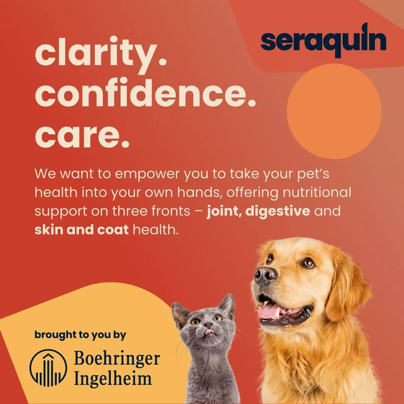 Seraquin Veterinary Joint Supplement with Turmeric for Cats & Dogs 60 Tablets UK