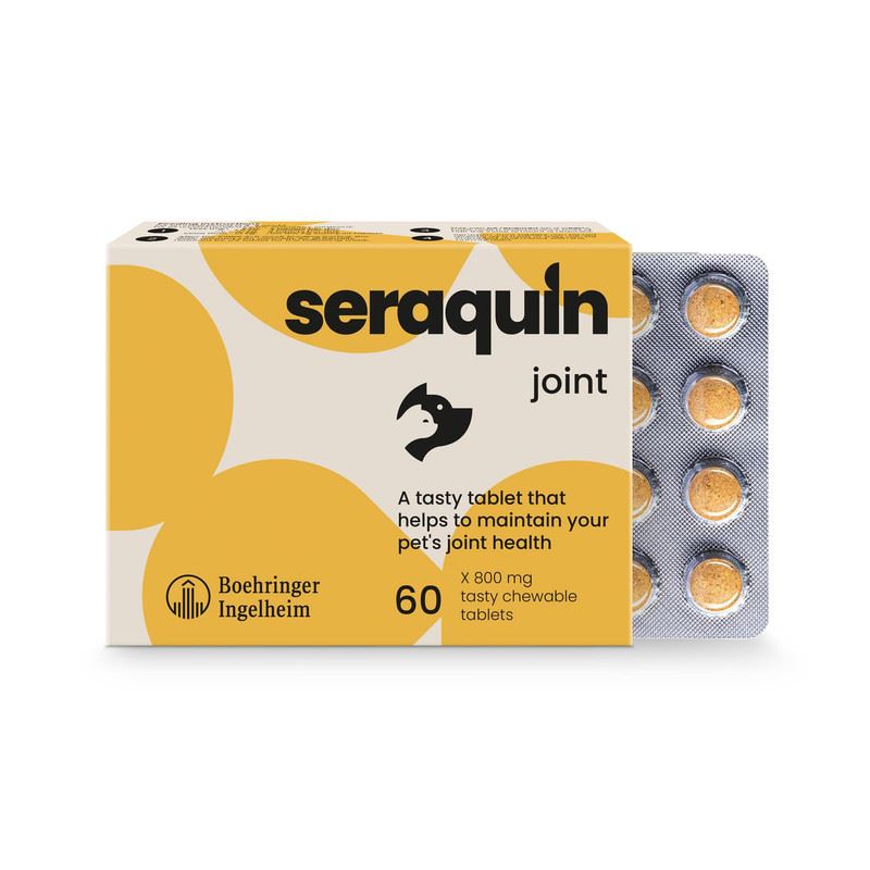 Seraquin Veterinary Joint Supplement with Turmeric for Cats & Dogs 60 Tablets UK
