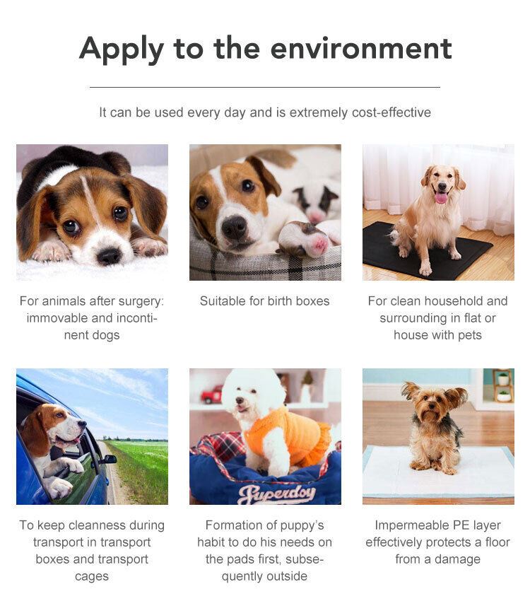 Large Puppy Training Trainer Train Pads Toilet Pee Wee Poo Dog Pet Cat Mats UK..