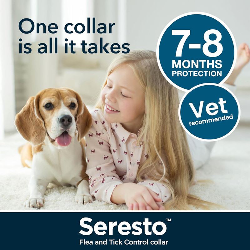 Seresto Cat Dog Flea Collar With Tick Control Adjustable 8 Month Protection, 1 Collar