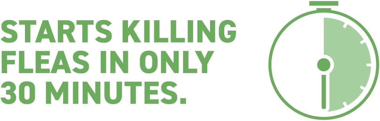 Capstar Flea Treatment Tablets for Dogs over 11kg Kills Fleas Fast 6 Tablets