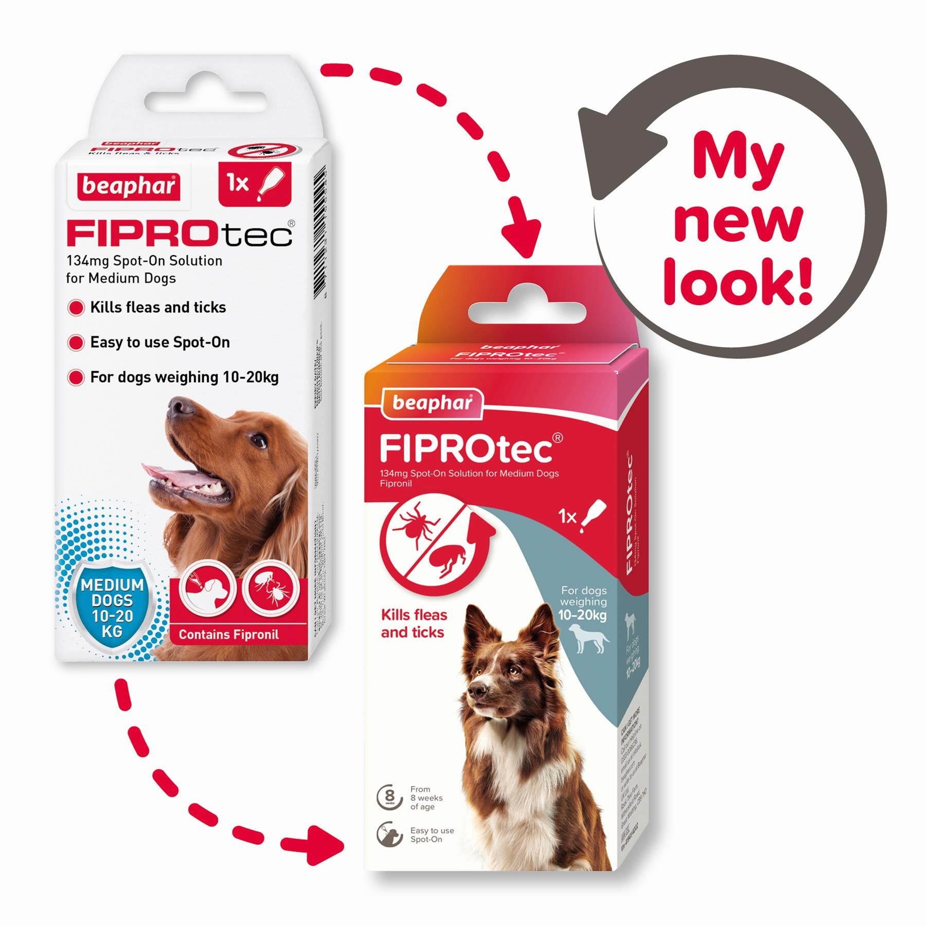BEAPHAR Spot On Flea Tick Treatment CAT & DOG S M L XL - 1 4 6 Pipettes FIPROTEC