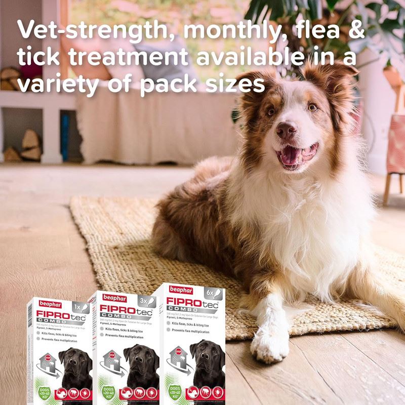 Beaphar FIPROtec COMBO Dog/Cat Flea and Tick Treatment Spot On Solution Effectiv