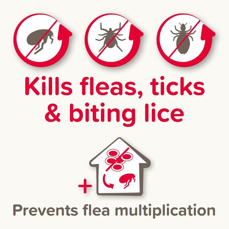 Beaphar FIPROtec COMBO Dog/Cat Flea and Tick Treatment Spot On Solution Effectiv