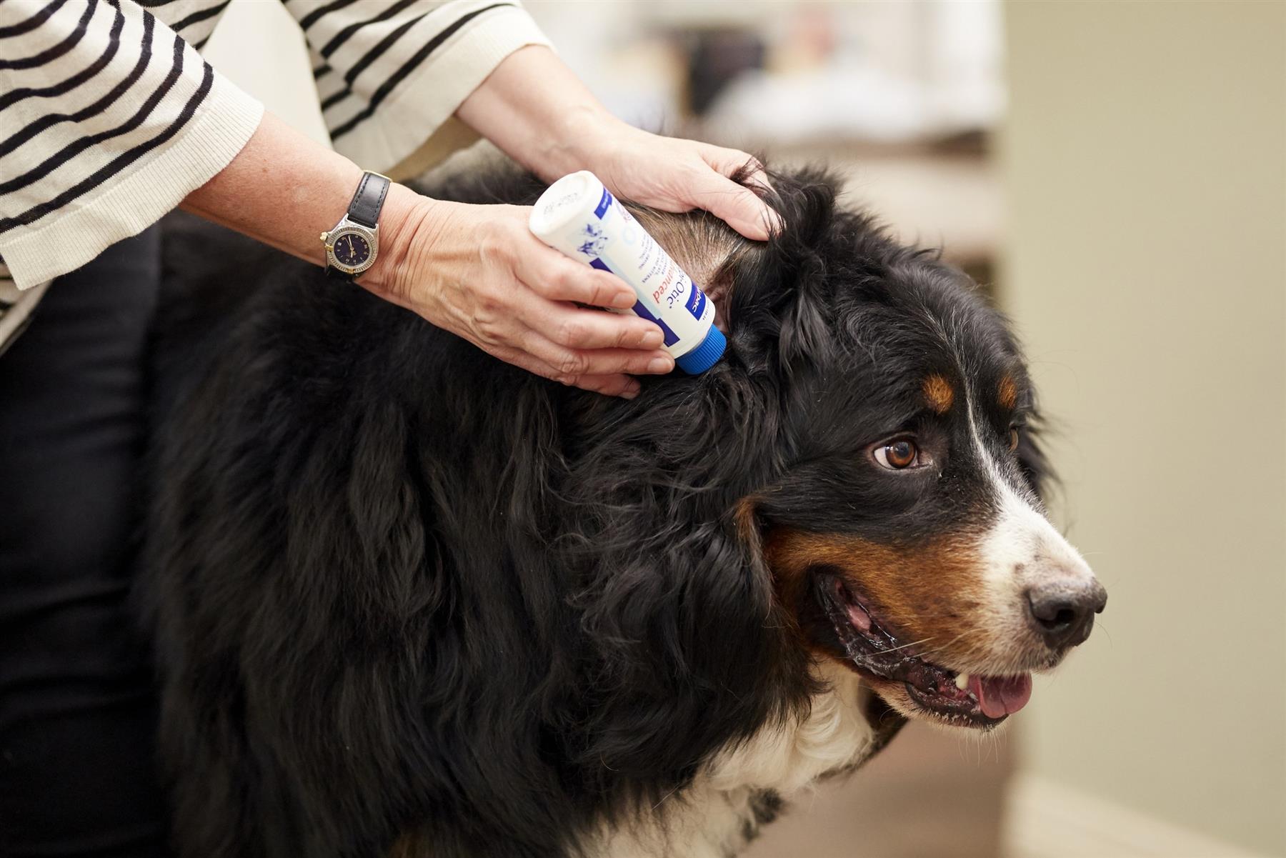 EpiOtic Ear Cleaner for Cats & Dogs | 60ml & 125ml Bottle| Antibacterial & Antifungal