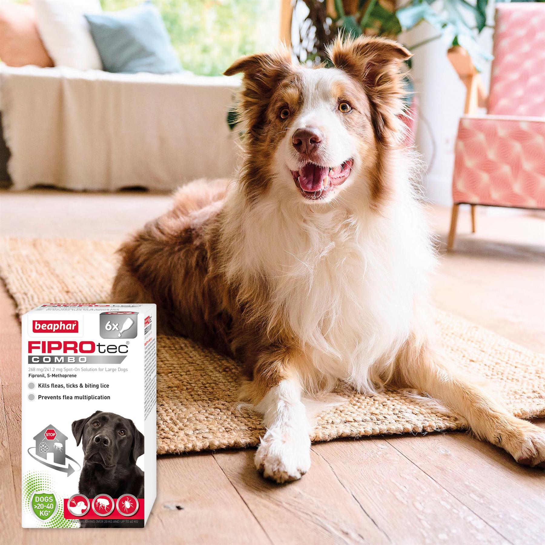 Beaphar FIPROtec COMBO Dog/Cat Flea and Tick Treatment Spot On Solution Effectiv