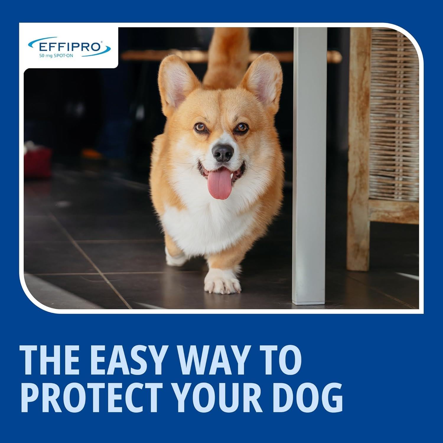 Effipro Spot On Flea Treatment AVM-GSL For Pets Cats & Dogs 4 Pipettes With Fipronil